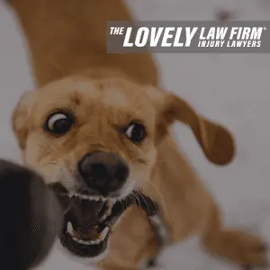 The Lovely Law Firm Injury Lawyer Dog Bite Claims